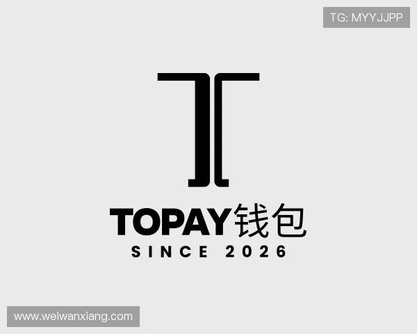 认识TOPAY钱包