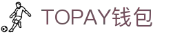 TOPAY钱包 - 安全便捷的个人财务管理工具