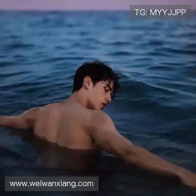 褚戈琚